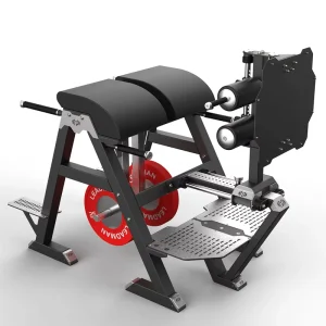 Commercial Glute Ham Developer Roman Chair Hyperextension Hips Training Equipment Reverse Hyper Back Extension