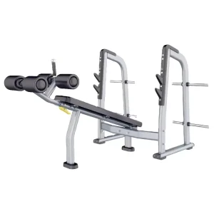 Commercial Gym Decline Bench Fitness Bench Strength Training for Gym Clubs