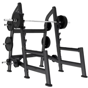 Commercial Gym Equipment Exercise Weightlifting Bench Strength Machine Squat Rack Bench