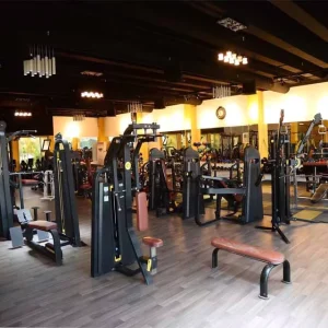 Commercial Gym Strength Training Equipment Set