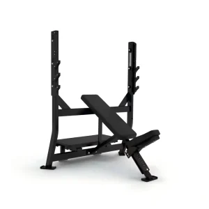 Commercial Incline Bench Press Rack Adjustable Weight Bench for Strength Training