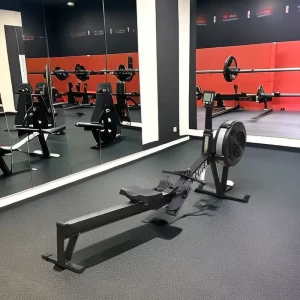 Commercial Indoor Air Rowing Machine Gym Cardio Fitness Equipment Trainer