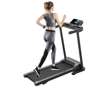 Commercial Indoor Electric Treadmill