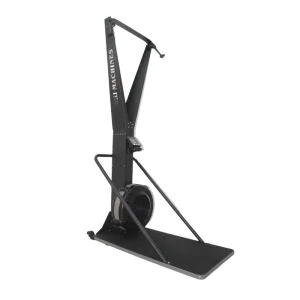 Commercial Indoor Rowing Machine Air Rower Full Body Cardio for Gym Fitness Equipment Steel Eco Friendly