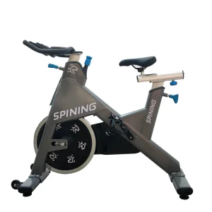 Commercial Magnetic Resistance Exercise Bike with Heavy Flywheel