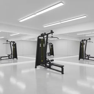 Commercial Pin-Loaded Dual-Function Seated High and Low Pull Machine