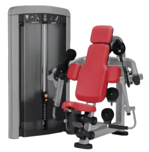 Commercial Plate-Loaded Biceps Curl and T-Bar Row Machine