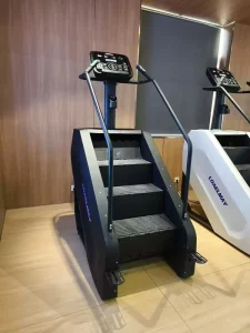 Commercial Stair Climber Ladder Machine for Gym Fitness