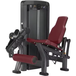 Commercial Steel Gym Machine Leg Extension Arms Chest Strength Training Equipment