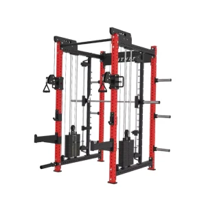 Commercial Steel Smith Machine with Squat Rack and Flying Bird Gantry for Strength Training Model F005