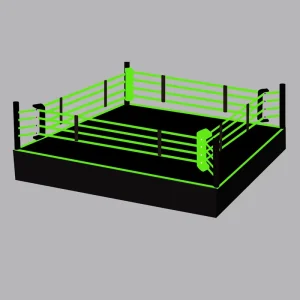 Competition Boxing Ring Equipment PVC Mat Factory Direct Custom Logo Options