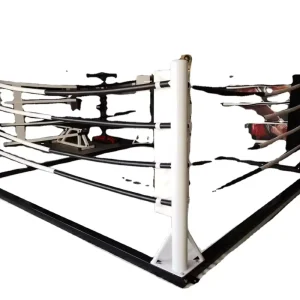 Custom Boxing Gym Ground Ring Equipment 4×4 Mini Small Free Standing Floor Boxing Ring