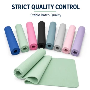 Custom Color and Logo TPE Yoga Mat 183x61cm 6mm Rectangular Soft Rebound Knee Protection Exercise Mat Manufacturer