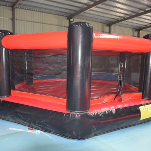 Custom Factory Inflatable Boxing Ring Game