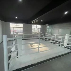 Custom Logo 4x4m Boxing Ring for Boxing, MMA, and Muay Thai