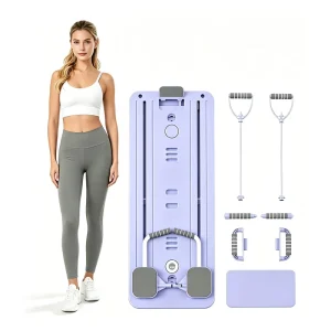 Custom Logo Ab Wheel OEM Multi Function Home Gym Fitness Equipment for Core Training Workout
