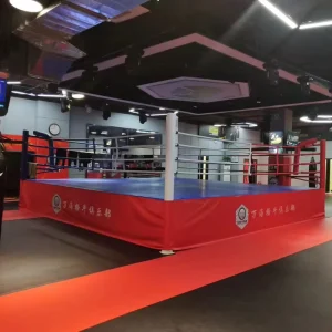 Custom Logo IBF Standard MMA Octagon Fight Ring for Competition and Training