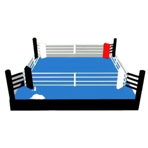 Custom Logo International Standard Boxing Championship Ring for Professional Boxing and Kickboxing