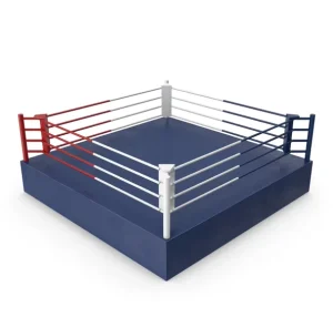 Custom Logo Octagon Boxing Ring for Competition and Training
