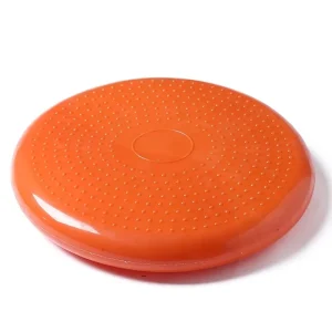 Custom Logo PVC Inflatable Air Disc Wobble Cushion for Home Gym Balance Training
