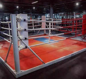 Custom Logo Portable MMA Boxing Ring 6m*6m*1m Wrestling Ring