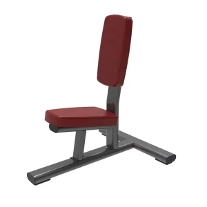 Custom OEM/ODM Seated Shoulder Press Bench with Weights and Press Racks for Home and Commercial Gym