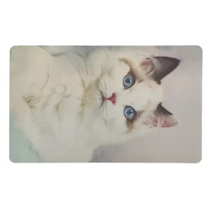 Custom Photo Super-Absorbent Quick-Drying Non-Slip Bath Mat
