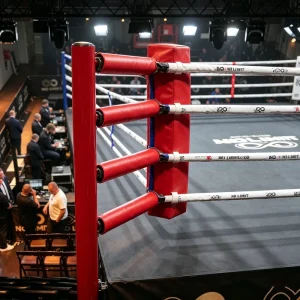 Custom Size Boxing Ring with Logo Design for Gym Equipment