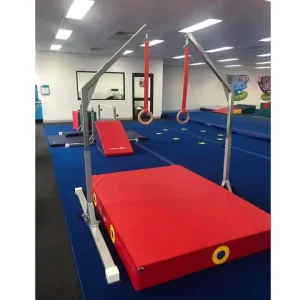 Custom-Size Indoor Gymnastics Hanging Rings for Kids Training