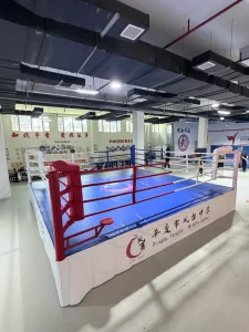 Custom Size MMA Raised Boxing Ring for Training and Muay Thai Competition