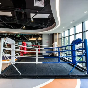 Customizable 6×6 Small Floor-Mounted Stainless Steel Boxing Ring Competition