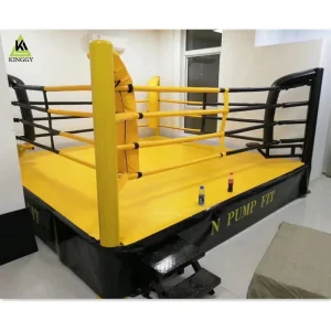 Customizable Boxing Ring for Gym or Home