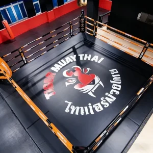 Customized Boxing Ring for Gym Training, Outdoor Muay Thai, MMA and Kickboxing, Steel Construction