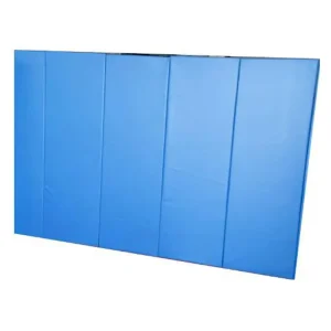 Customized EVA Gym Wall Padding Mats for Protection