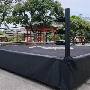 Customized Logo Free-Standing Steel Anti-Slip Boxing and Wrestling Ring F5406