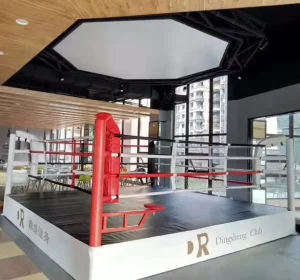 Customized Size Floor Boxing Wrestling Ring