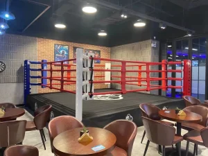 Customized Standard Steel Elevated Stage Boxing Ring for Training