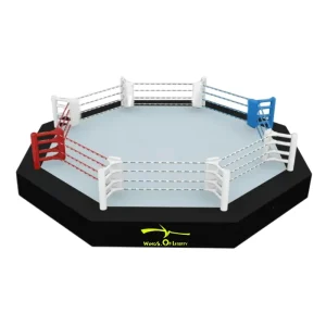 Customized Tarp MMA Octagon Cage Inflatable Boxing Ring