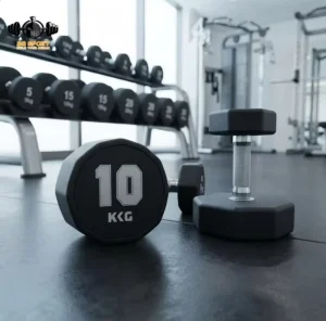 Decagonal Dumbbell Set, Anti-Rolling Design, Home Studio, Strength Training