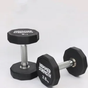 Decagonal Injection-Molded Rubber-Covered Adjustable Lightweight Dumbbell with Electroplated Handle Core