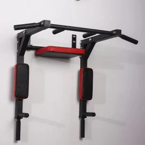 Detachable Reversible Wall-Mount Pull and Dip Station