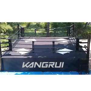 Direct Factory Customized MMA Cage Boxing Ring for Gym Training