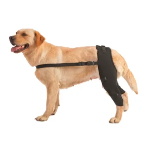 Dog Knee Support Recovery Sleeve Brace for Joint Pain