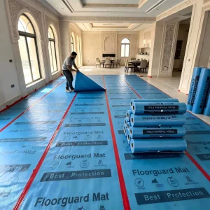 Double Layer Dustproof Plastic Modern Durable Water Resistant Floor Protection Mat for Home Decoration Flooring Accessories