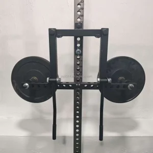 Dual-Arm Standing Lateral Raise Machine for Upper Body Strength Training