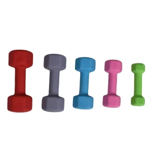 Dumbbell Set Fitness Weights