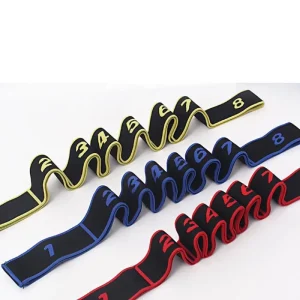 Elastic Gym Band Set for Home Fitness Strength Training and Yoga