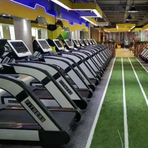 Electronic Semi-Commercial Treadmill, 18 km/h, for Home Use