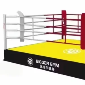 Elevated Muay Thai MMA Training Floor Boxing Ring
