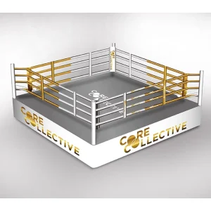 Elevated Stage Boxing Ring